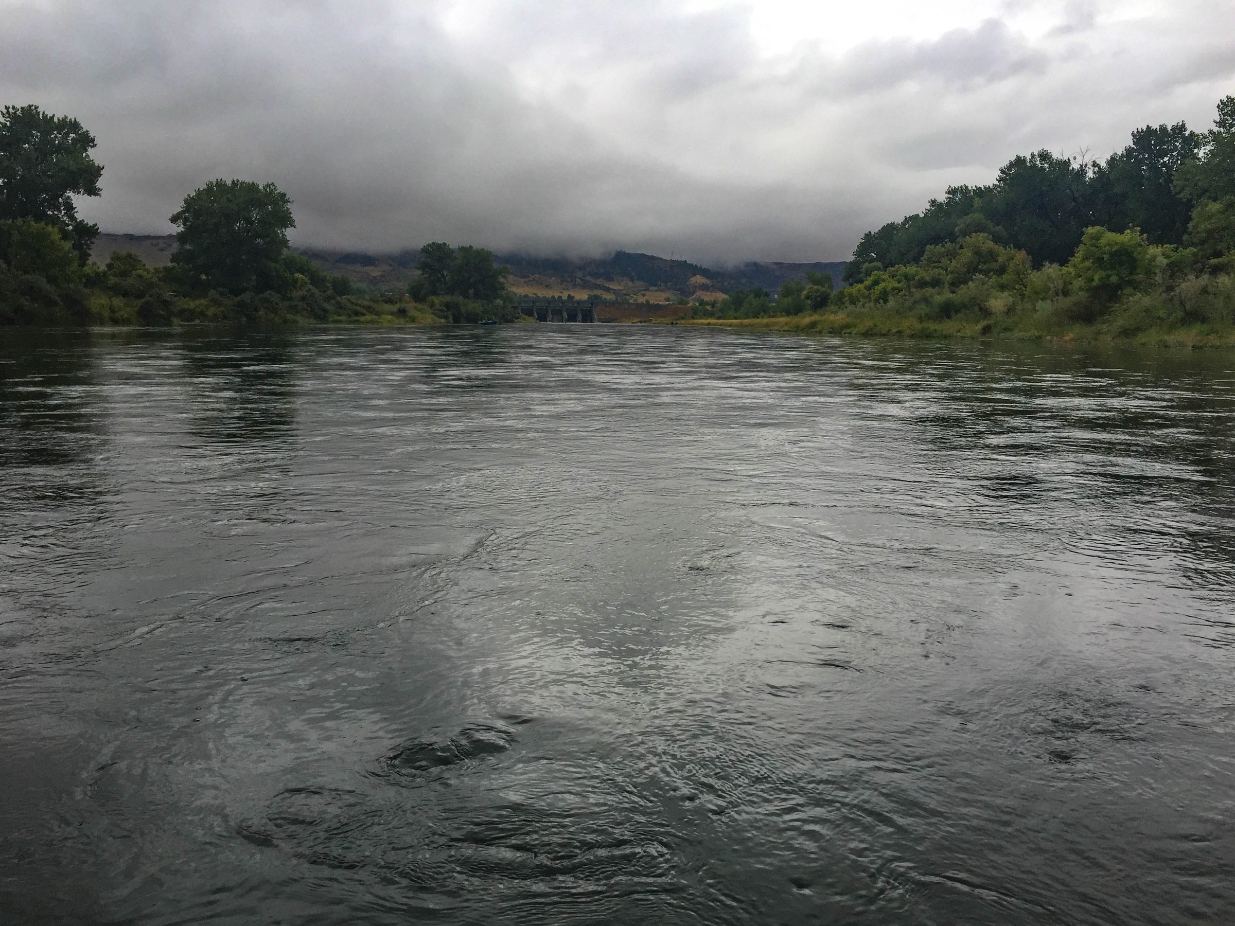 Full-Day Float on the Bighorn River 2