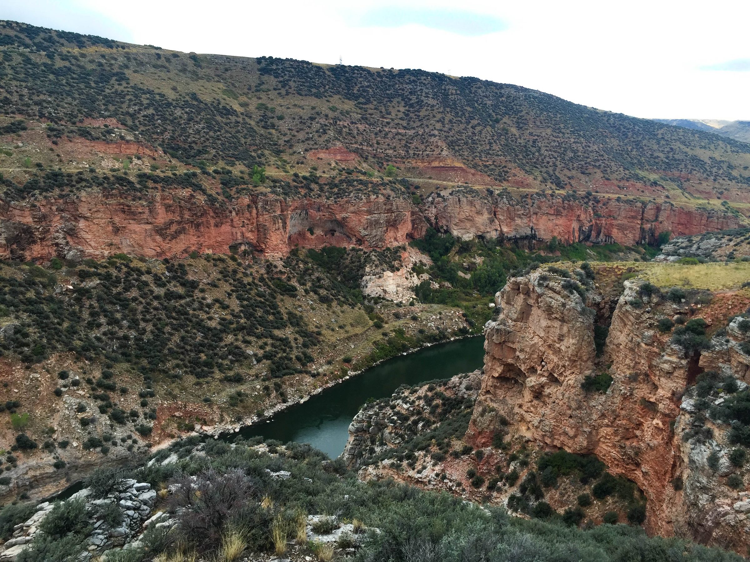 Full-Day Float on the Bighorn River 3