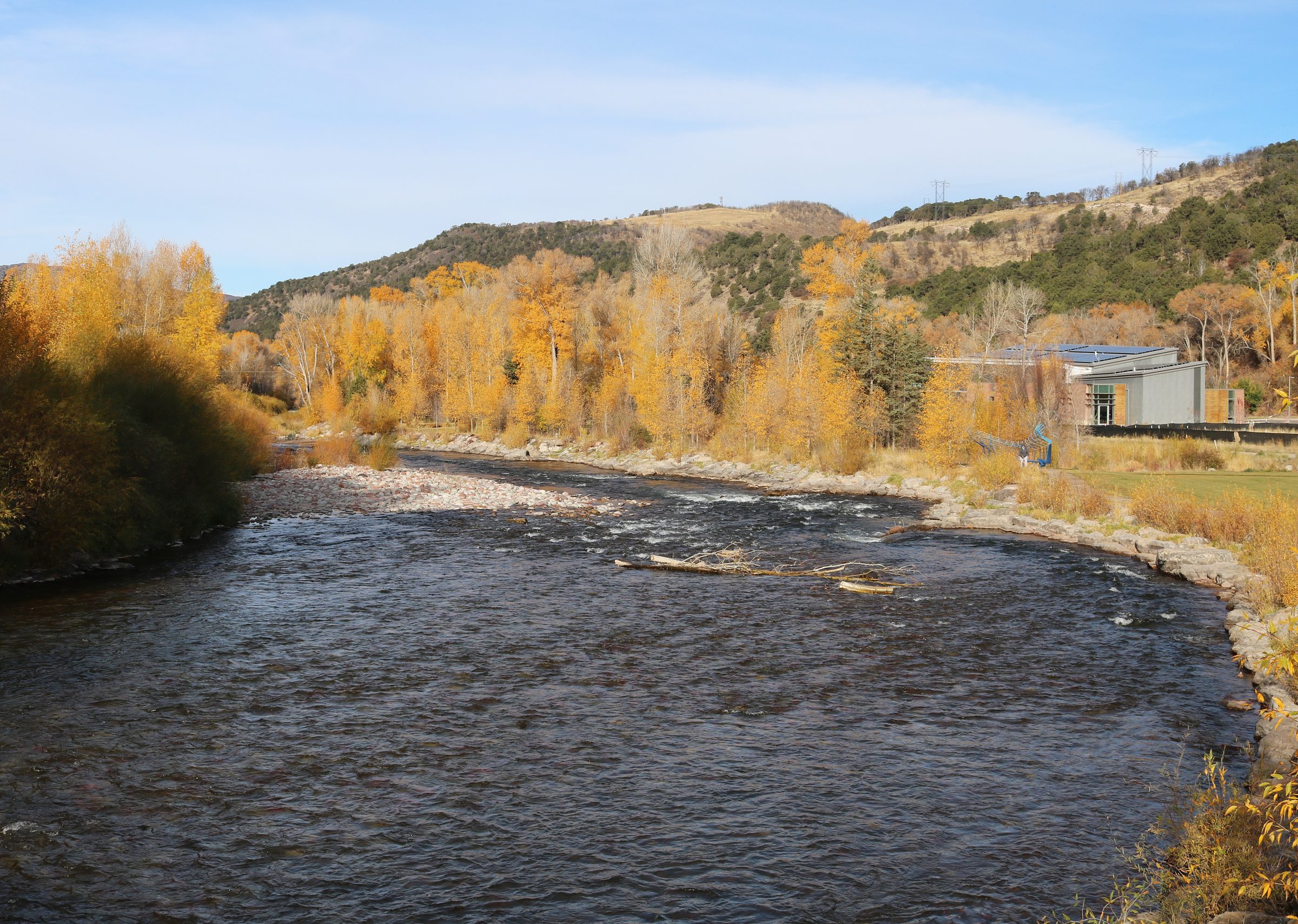 Half-Day Wade on the Roaring Fork 2