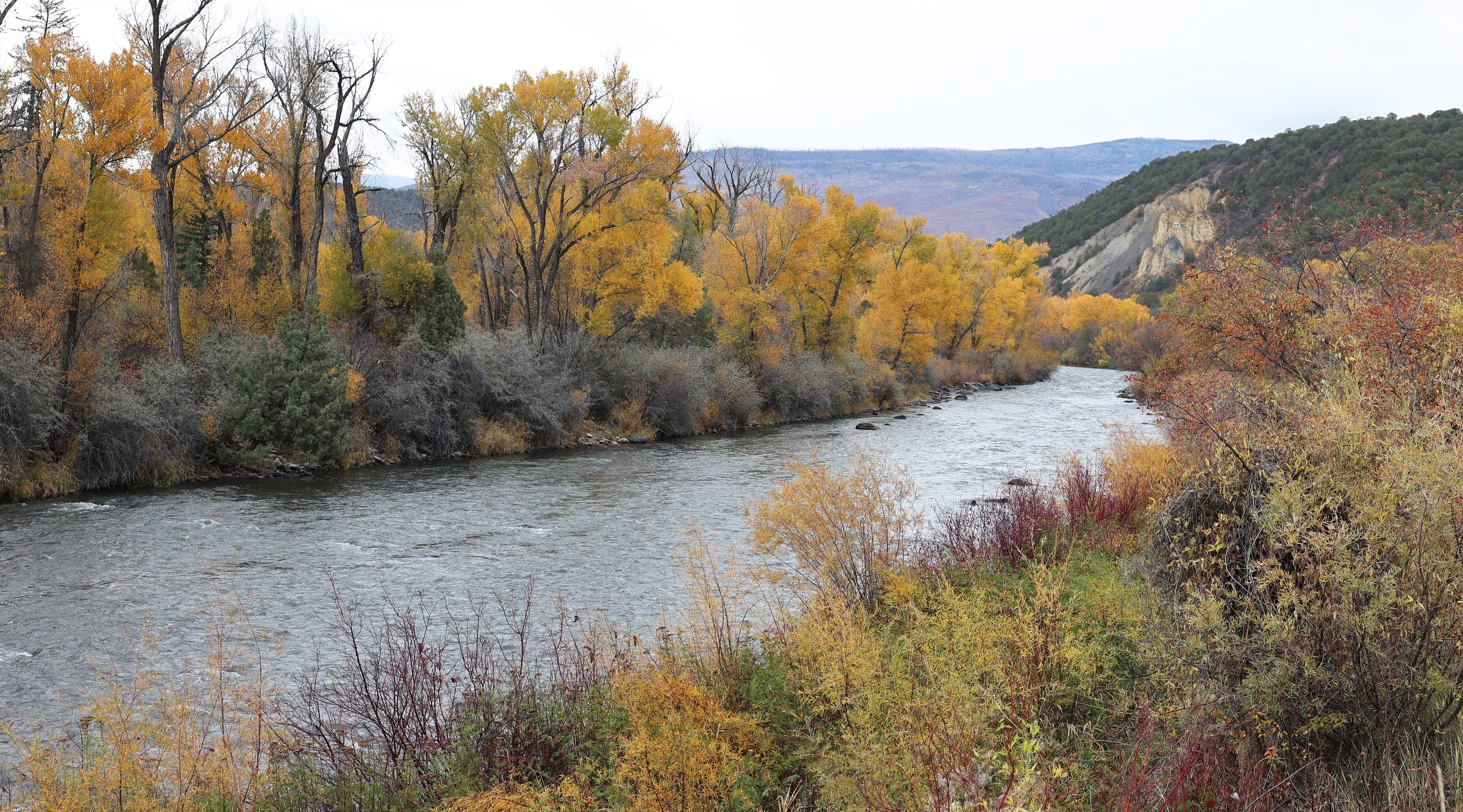 Half-Day Wade on the Roaring Fork 3