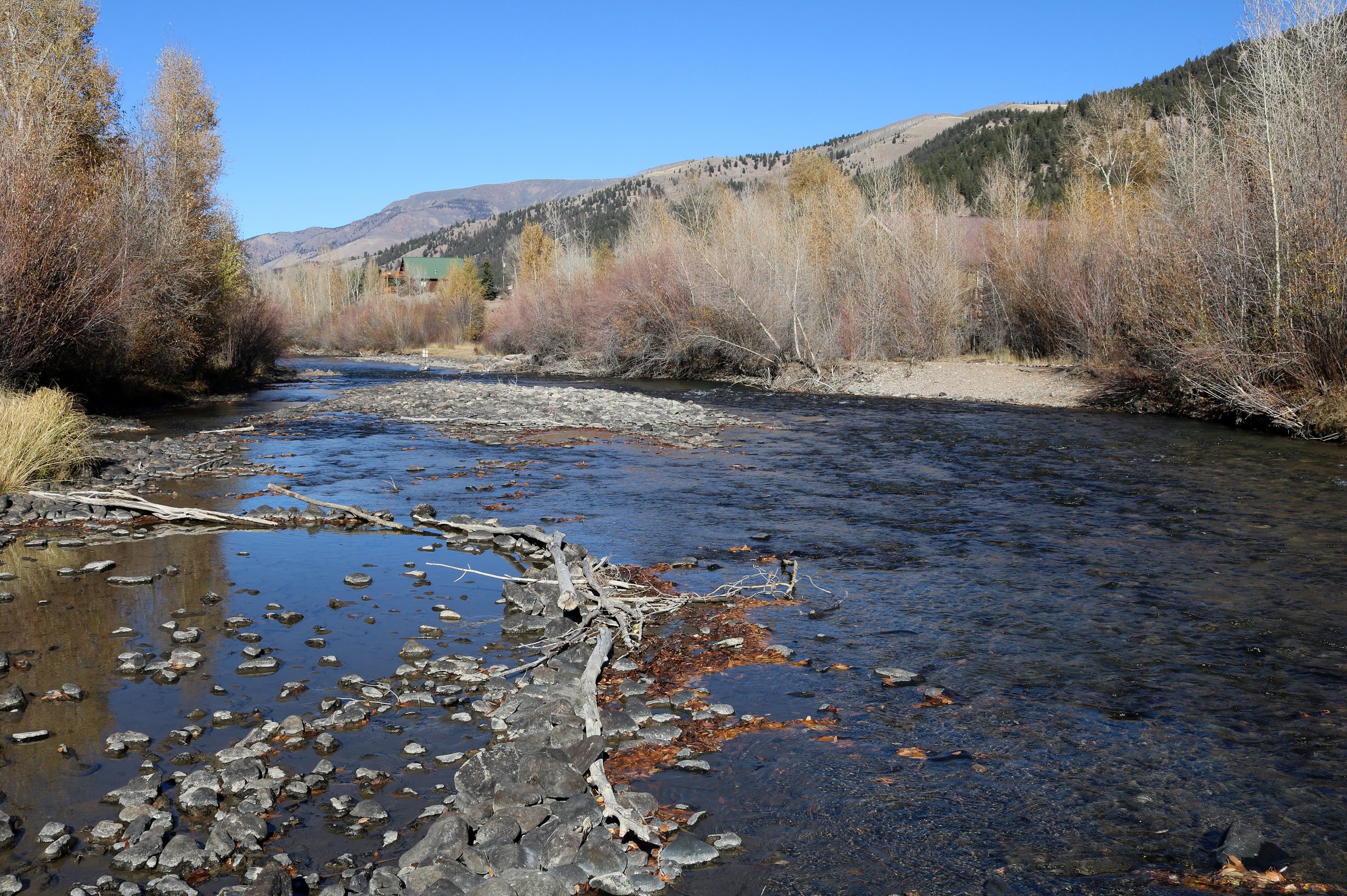 Full-Day Float on the Gunnison River 2