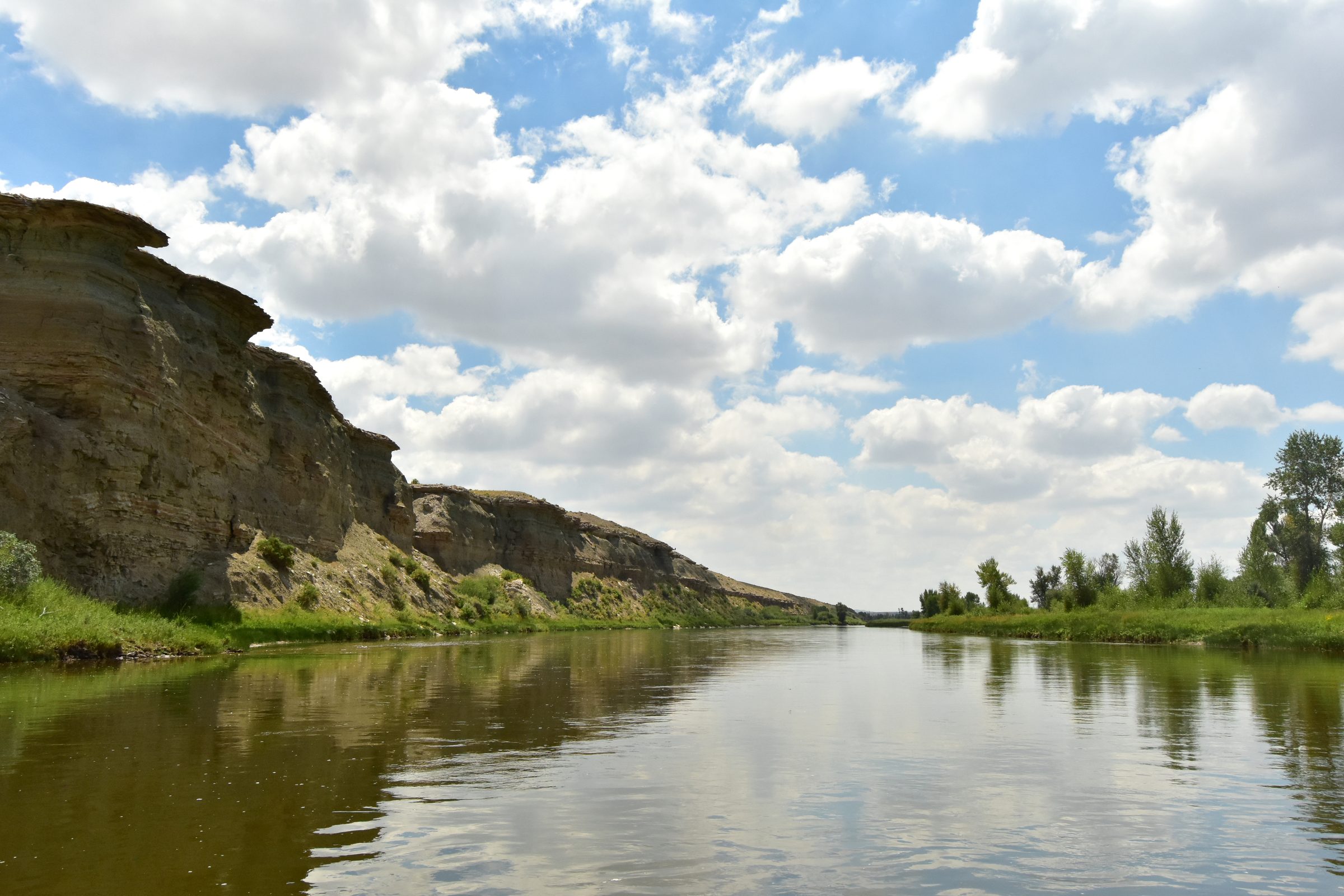 Half-Day Wade on the Green River 3