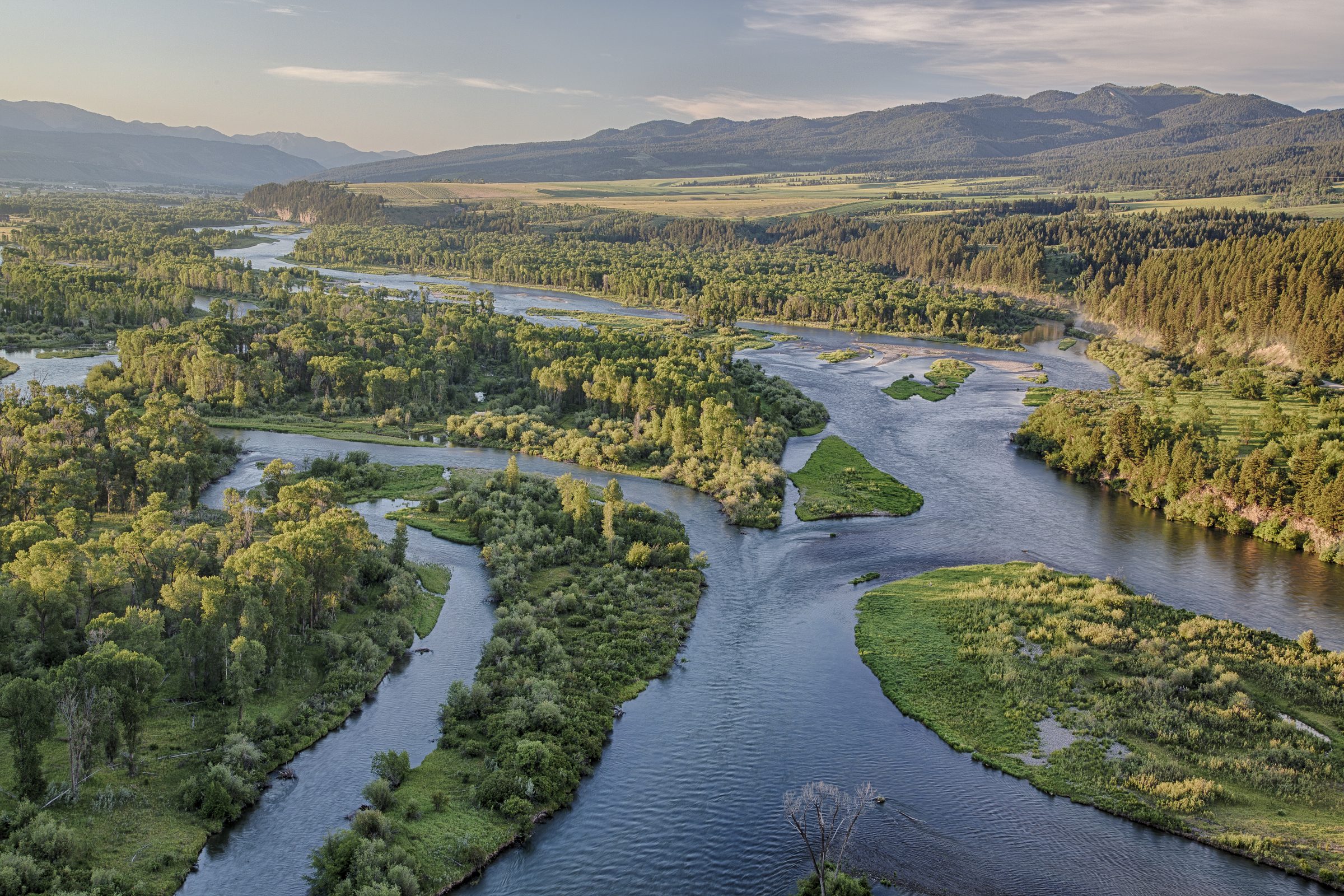 Full-Day Float on the South Fork of the Snake 3